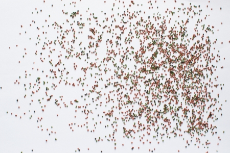 Variety colors for the fish food pelletsの写真素材