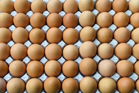 Brown chicken eggs in the ovaries of paperの写真素材