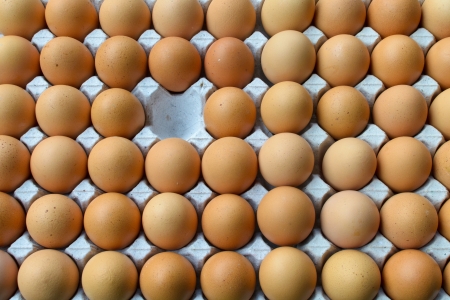Brown chicken eggs in the ovaries of paper