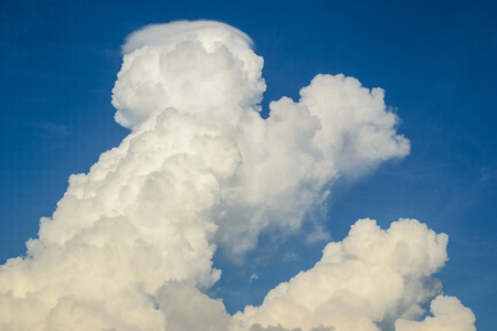 Blue sky with white clouds, a poodle dogの写真素材