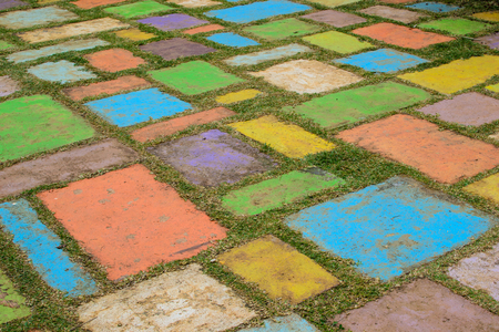 Multicolored slabs with grass in the gardenの写真素材