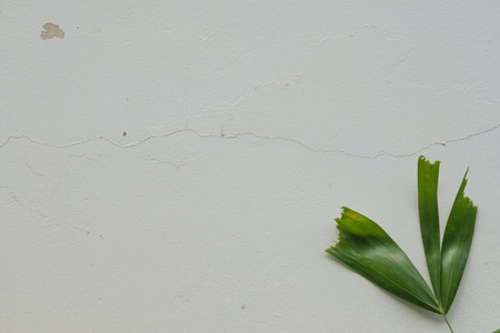 The surface of old plaster and painted.の写真素材