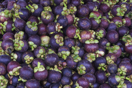 Mangosteen Fruit Queen of Thailandの写真素材