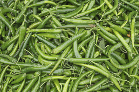 Fresh green chillies Raw materials for Thai cookingの写真素材