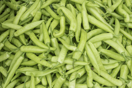 Fresh green chillies Raw materials for Thai cookingの写真素材