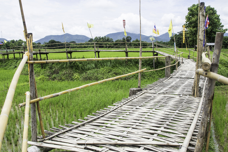The Longest Bamboo Bridge to Wat phrathat San Don in Wang Ngoen, Mae Tha District, Lampang Thailandの写真素材