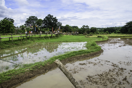 People walk on The Longest Bamboo Bridge to Wat phrathat San Don in Wang Ngoen, Mae Tha District, Lampang Thailand at July 16, 2017の写真素材