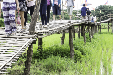 People walk on a bamboo bridge through a field to make merit at a temple in northern Thailand.の写真素材