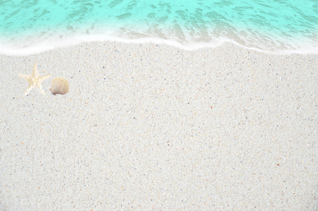 Beach sand with shell and starfishの写真素材