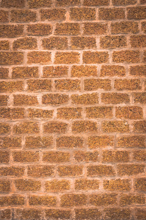 Laterite stone wall Closeupの写真素材