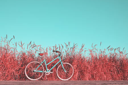 beautiful landscape image with Bicycle on road with blue skyの写真素材
