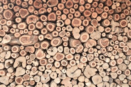 Wooden sawn logs as background