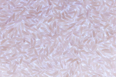 Abstract background of white rice seeds close upの写真素材
