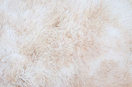 Background of carpet close up texture