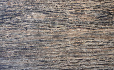 Teak Tree bark texture background. Embossed textured of the old Bark of summer. Close up image.の写真素材