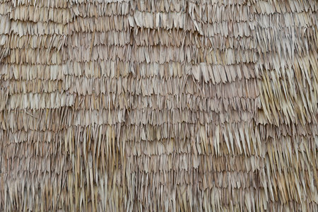Brown traditional grass use for roof of house, Background, Texture, Wallpaper,Close-upの写真素材