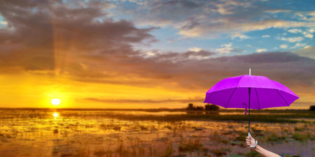 Hand of the man holding purple umbrella in front of sunrise backgroundの写真素材