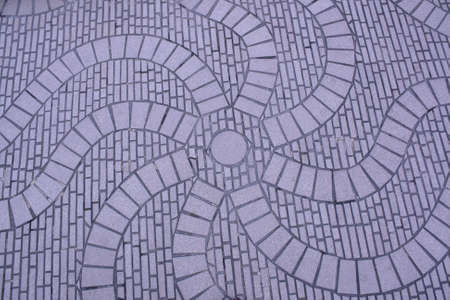 Spider Web 