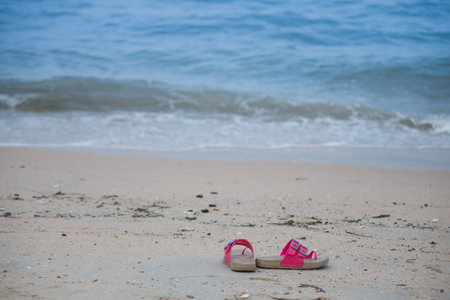 Sandal on the beachの写真素材