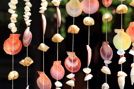 colourful shell curtainの写真素材