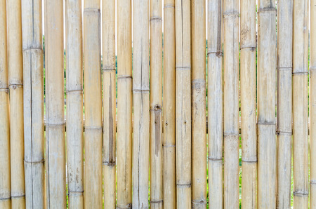 Bamboo fencing is primarily a natural homeの写真素材