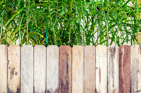 wood plank wall texture backgroundの写真素材