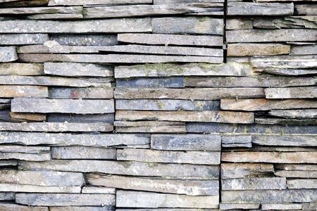 old wall brick layer with moss or algaeの写真素材
