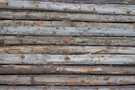 Line patterns on the wood pile.の写真素材
