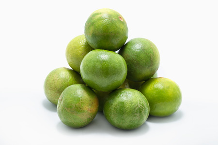 green lemon division on white backgroundの写真素材