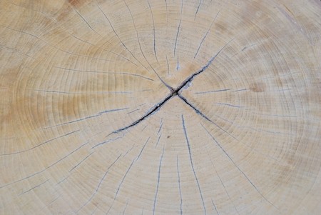 wood pattern in the hotel