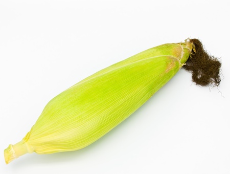 Fresh corn on white backgroundの写真素材