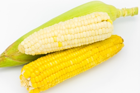 Fresh corn on white backgroundの写真素材