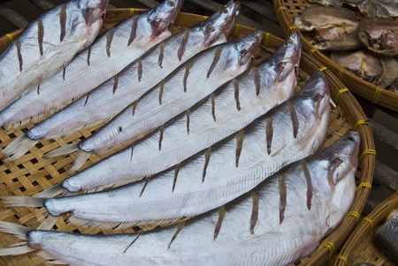 Dry Sheatfish, in a circle on bamboo plate,Siluridaeの写真素材
