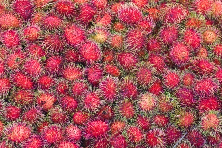 Fresh Rrambutan fruit at market in Thailandの写真素材