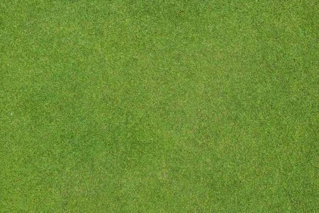 Beautiful green grass pattern from golf courseの写真素材