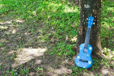 hawaiian traditional instrument ukulele guitar in gardenの写真素材