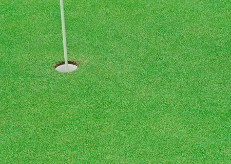 Beautiful green grass pattern from golf courseの写真素材