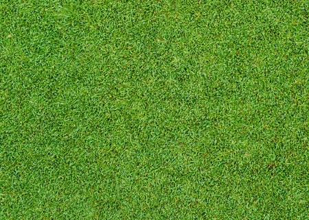 Beautiful green grass pattern from golf courseの写真素材