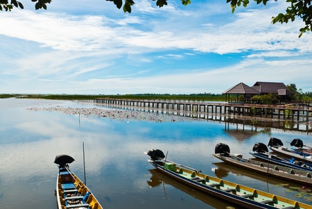 boat on a local lagoon at Phatthalung, Thailandのeditorial素材