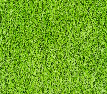 Artificial Green Grass Field Top View Textureの写真素材
