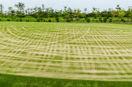 view landscape of golf course at Thailandの写真素材