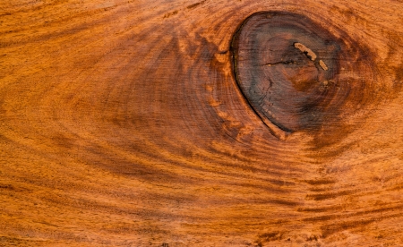Old Iron wood background, XXylia xylocarpa Taub, LEGUMINOSAEの写真素材