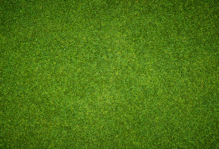 Background and texture of Beautiful green grass pattern from golf courseの写真素材