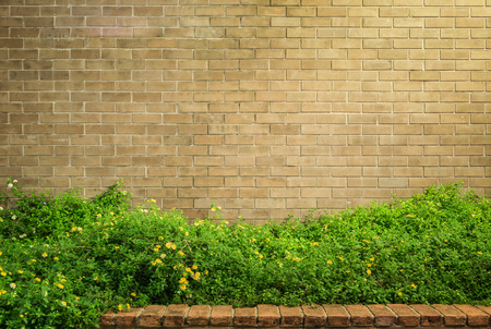 background and texture of vintage style decorative brown brick wall with Lantana camara or Cloth of goldの写真素材