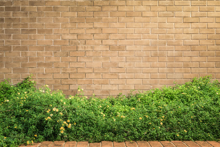 background and texture of vintage style decorative brown brick wall with Lantana camara or Cloth of goldの写真素材