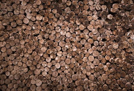 background and texture of old decorative cross section view  cutting wood is arranged to be the...