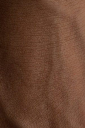 The texture of the skinの写真素材