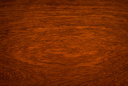 Macro Ormosia wood texture, Afzelia xylocarpa (Kurz) Craib, LEGUMINOSAE-CAESALPINIOIDEAE (FABACEAE)の写真素材