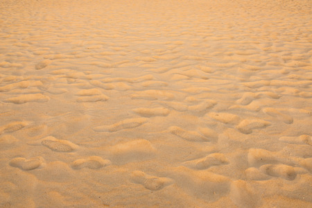 background and texture of  sand pattern on a beach in summerの写真素材