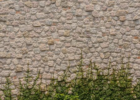 background and texture of  Vintage style stone wall surface with plantの写真素材